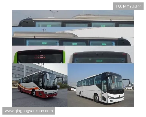 亚星ybl6119ghbev1最新版本下载与安装指南，解决常见使用问题的完整教程