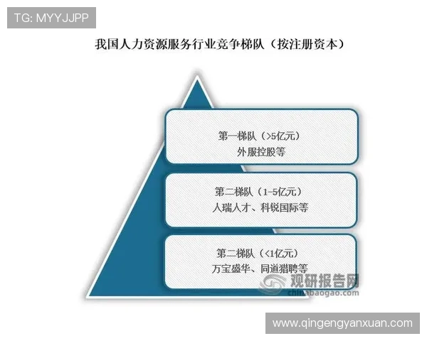 亚星个人资料深度分析,帮助用户全面了解他的行业影响力