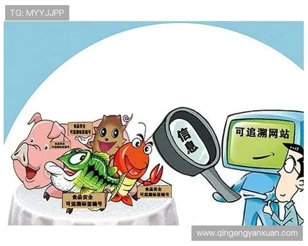 亚星官网登录口安全登录指南，保障账号信息安全的详细操作步骤